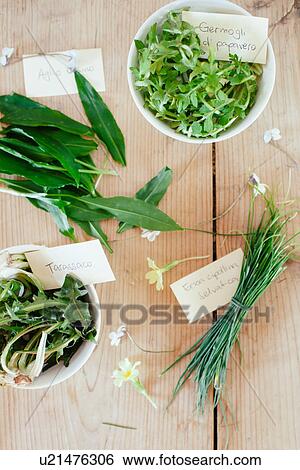 Freshly picked and labeled wild herbs on wooden table View Large Photo Image Stock Photograph - Freshly picked and labeled wild herbs on wooden table. Fotosearch
