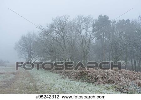 "Frosty landscape, Kinver, Worcestershire, England, UK" View Large Photo Image Stock Image - "Frosty landscape, Kinver, Worcestershire, England, UK". Fotosearch