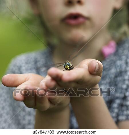 Girl with dragonfly on palm View Large Photo Image Stock Image - Girl with dragonfly on palm. Fotosearch