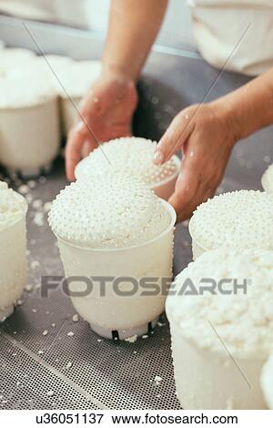 "Hands of female artisan making ricotta cheese, Tuscany, Italy" View Large Photo Image Stock Photo - "Hands of female artisan making ricotta cheese, Tuscany, Italy". Fotosearch