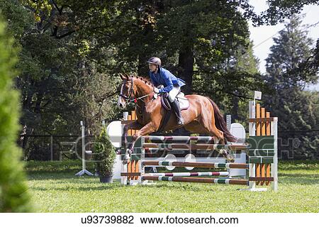 Horse and rider show jumping View Large Photo Image Stock Image - Horse and rider show jumping. Fotosearch