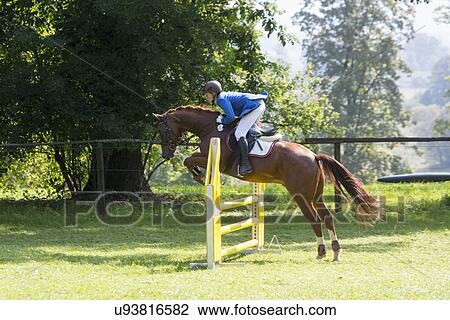 Stock Image - Horse and rider show jumping. Fotosearch