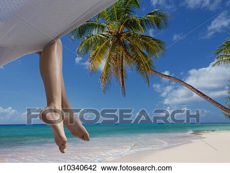 "Legs of young woman on hammock, Miami Beach, Florida, USA" View Large Photo Image Stock Image - "Legs of young woman on hammock, Miami Beach, Florida, USA". Fotosearch