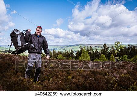 "Male hiker lifting rucksack onto shoulder on heather moors, Pateley Bridge, Nidderdale, Yorkshire Dales" View Large Photo Image Stock Photo - "Male hiker lifting rucksack onto shoulder on heather moors, Pateley Bridge, Nidderdale, Yorkshire Dales". Fotosearch