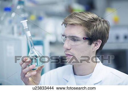 Male scientist holding up and looking at flask in lab View Large Photo Image Picture - Male scientist holding up and looking at flask in lab. Fotosearch