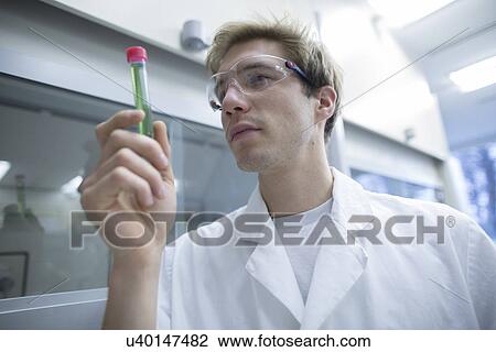 Male scientist looking test tube in lab View Large Photo Image Stock Image - Male scientist looking test tube in lab. Fotosearch
