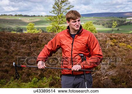"Male teenage hiker checking walking pole on heather moors, Pateley Bridge, Nidderdale, Yorkshire Dales" View Large Photo Image Picture - "Male teenage hiker checking walking pole on heather moors, Pateley Bridge, Nidderdale, Yorkshire Dales". Fotosearch