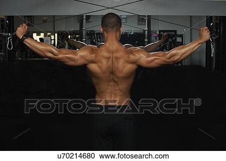 "Mid adult man, lifting weights, rear view" View Large Photo Image Stock Image - "Mid adult man, lifting weights, rear view". Fotosearch
