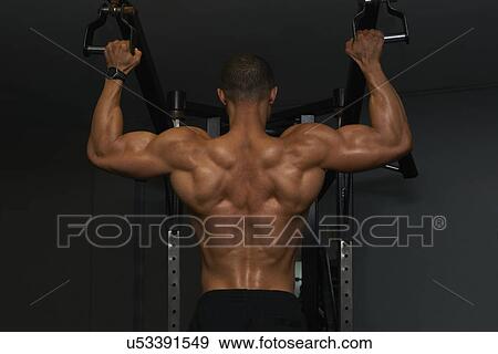 "Mid adult man, lifting weights, rear view" View Large Photo Image Stock Photo - "Mid adult man, lifting weights, rear view". Fotosearch