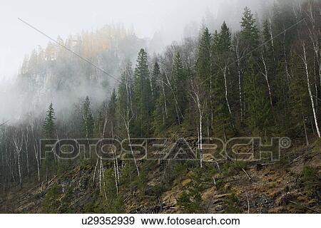 Stock Photo - "Mountain forest and mist, Sarsy Village, Sverdlovsk Oblast, Russia". Fotosearch