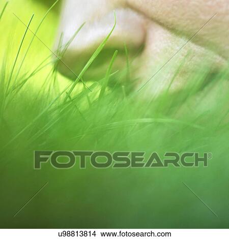 "Person smelling grass, close up" View Large Photo Image Picture - "Person smelling grass, close up". Fotosearch