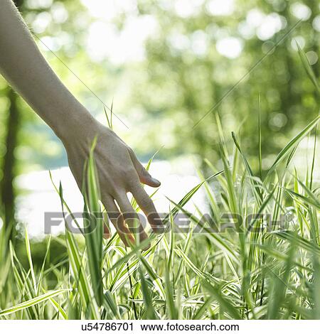 Stock Image - Person touching grass. Fotosearch