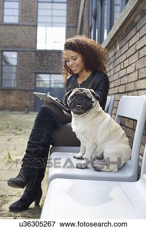 Portrait Of Pug Dog Sitting On Chair With Young Woman In Office