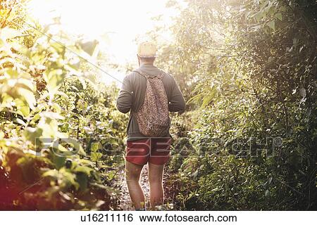 "Rear view of young man hiking in rain forest at Lake Atitlan, Guatemala" View Large Photo Image Stock Photograph - "Rear view of young man hiking in rain forest at Lake Atitlan, Guatemala". Fotosearch