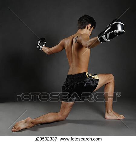 Rear view of young man in boxing gloves poised on one knee View Large Photo Image Stock Photo - Rear view of young man in boxing gloves poised on one knee. Fotosearch