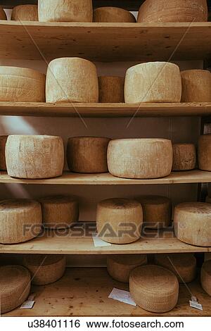 Stock Photograph - "Rows of artisan pecorino cheese, Tuscany, Italy". Fotosearch