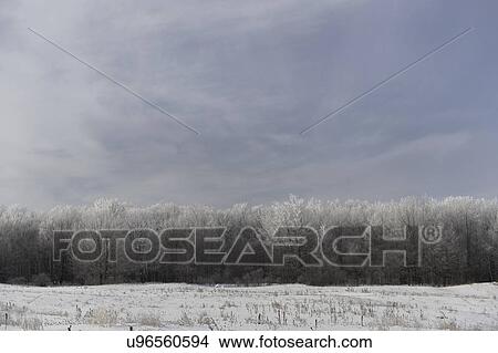 "Rural snow covered field, Ontario, Canada" View Large Photo Image Picture - "Rural snow covered field, Ontario, Canada". Fotosearch