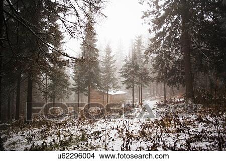 "Snow covered forest and cabin in mist, Sarsy Village, Sverdlovsk Oblast, Russia" View Large Photo Image Picture - "Snow covered forest and cabin in mist, Sarsy Village, Sverdlovsk Oblast, Russia". Fotosearch