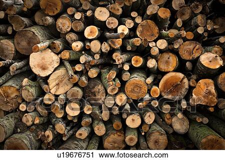 "Stacked log wood, Casentino, Tuscany, Italy" View Large Photo Image Stock Image - "Stacked log wood, Casentino, Tuscany, Italy". Fotosearch