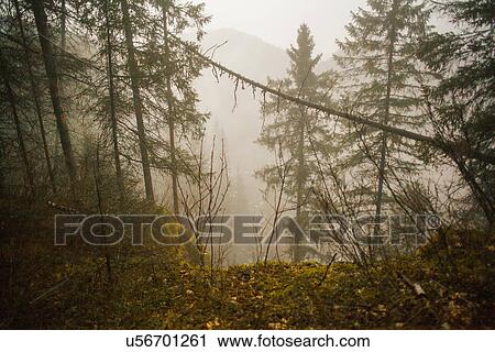 "View of forest and misty valley, Sarsy Village, Sverdlovsk Oblast, Russia" View Large Photo Image Stock Image - "View of forest and misty valley, Sarsy Village, Sverdlovsk Oblast, Russia". Fotosearch