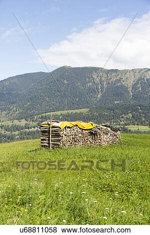 Stock Photo - "View of mountains and stacked logs, Eckbauer bei Garmisch, Bavaria, Germany". Fotosearch