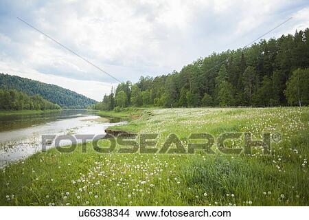 "View of river valley and forest, Sarsy Village, Sverdlovsk Oblast, Russia" View Large Photo Image Picture - "View of river valley and forest, Sarsy Village, Sverdlovsk Oblast, Russia". Fotosearch