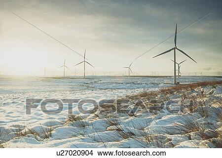 "Wind turbines on sandy landscape, Ayrshire, Scotland" View Large Photo Image Picture - "Wind turbines on sandy landscape, Ayrshire, Scotland". Fotosearch