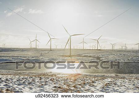 "Wind turbines on sandy landscape, Ayrshire, Scotland" View Large Photo Image Stock Image - "Wind turbines on sandy landscape, Ayrshire, Scotland". Fotosearch