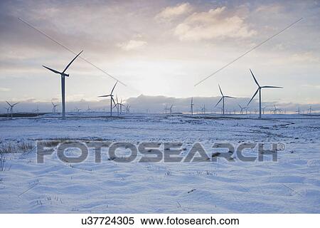 "Wind turbines on sandy landscape, Ayrshire, Scotland" View Large Photo Image Stock Photography - "Wind turbines on sandy landscape, Ayrshire, Scotland". Fotosearch