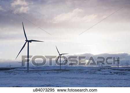 "Wind turbines on sandy landscape, Ayrshire, Scotland" View Large Photo Image Stock Photography - "Wind turbines on sandy landscape, Ayrshire, Scotland". Fotosearch