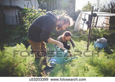 Young couple gardening View Large Photo Image Stock Photo - Young couple gardening. Fotosearch