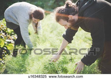 Young couple gardening View Large Photo Image Stock Photography - Young couple gardening. Fotosearch