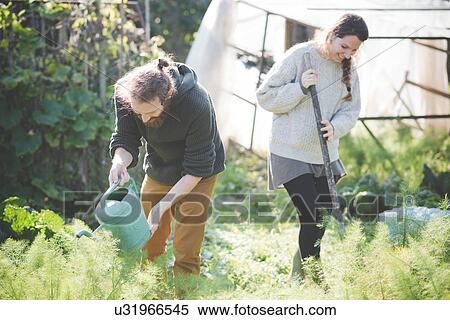 Young couple gardening View Large Photo Image Stock Photography - Young couple gardening. Fotosearch