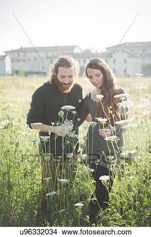 Young couple picking wild flowers in field View Large Photo Image Picture - Young couple picking wild flowers in field. Fotosearch