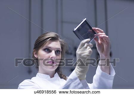 Young female scientist examining microscopy slide in lab View Large Photo Image Stock Photograph - Young female scientist examining microscopy slide in lab. Fotosearch