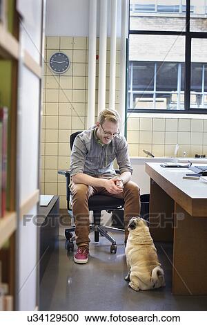 Young Man Looking Down At Cute Dog From Office Desk Stock Image