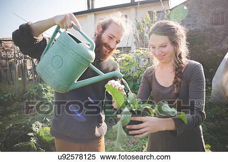 Young man watering plant with watering can View Large Photo Image Stock Photography - Young man watering plant with watering can. Fotosearch