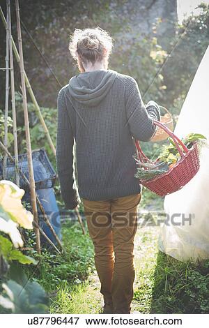 Young man with basket of homegrown vegetables View Large Photo Image Stock Photo - Young man with basket of homegrown vegetables. Fotosearch