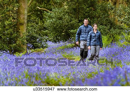 Stock Photo - "Young woman and man hiking through bluebells woods, Pateley Bridge, Nidderdale, Yorkshire Dales". Fotosearch