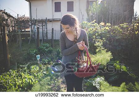 Young woman holding basket in garden View Large Photo Image Stock Image - Young woman holding basket in garden. Fotosearch