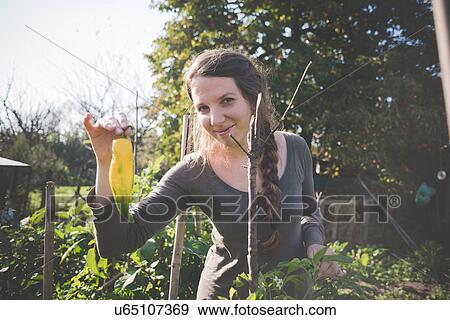 Stock Photo - Young woman holding homegrown yellow pepper. Fotosearch