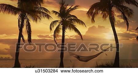 "Young woman reclining on hammock at sunset on Miami Beach, Florida, USA" View Large Photo Image Picture - "Young woman reclining on hammock at sunset on Miami Beach, Florida, USA". Fotosearch