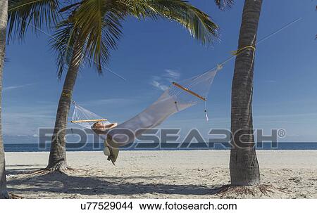 Picture - "Young woman reclining on hammock between palm trees on Miami Beach, Florida, USA". Fotosearch