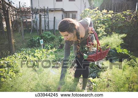 Young woman tending plants in garden View Large Photo Image Stock Photography - Young woman tending plants in garden. Fotosearch