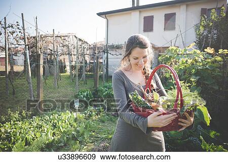 Young woman with basket of homegrown vegetables View Large Photo Image Stock Photo - Young woman with basket of homegrown vegetables. Fotosearch
