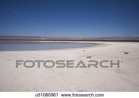 "Cejar Lagoon, Los Flamencos National Reserve, San Pedro de Atacama, El Loa Province, Antofagasta Region, Chile" View Large Photo Image Stock Image - "Cejar Lagoon, Los Flamencos National Reserve, San Pedro de Atacama, El Loa Province, Antofagasta Region, Chile". Fotosearch