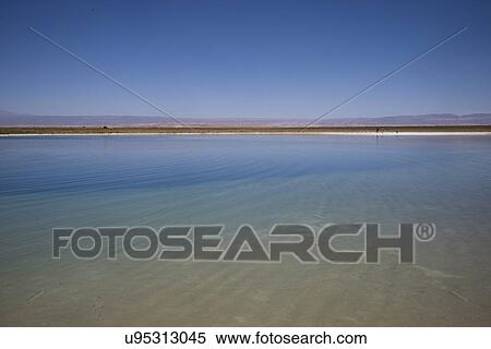Stock Photography - "Cejar Lagoon, Los Flamencos National Reserve, San Pedro de Atacama, El Loa Province, Antofagasta Region, Chile". Fotosearch