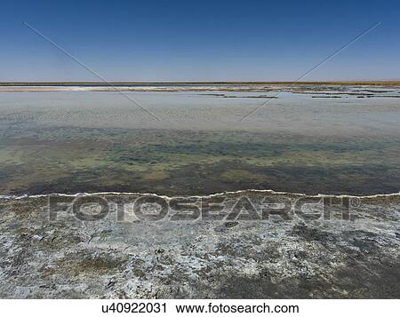 "Cejar Lagoon, San Pedro de Atacama, El Loa Province, Antofagasta Region, Chile" View Large Photo Image Stock Image - "Cejar Lagoon, San Pedro de Atacama, El Loa Province, Antofagasta Region, Chile". Fotosearch