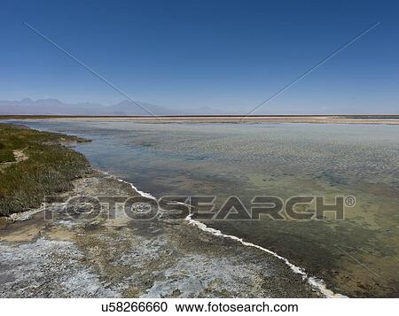 "Cejar Lagoon, San Pedro de Atacama, El Loa Province, Antofagasta Region, Chile" View Large Photo Image Stock Image - "Cejar Lagoon, San Pedro de Atacama, El Loa Province, Antofagasta Region, Chile". Fotosearch