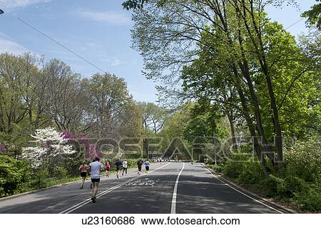 "Central Park, Manhattan, New York City, New York State, USA" View Large Photo Image Stock Photograph - "Central Park, Manhattan, New York City, New York State, USA". Fotosearch